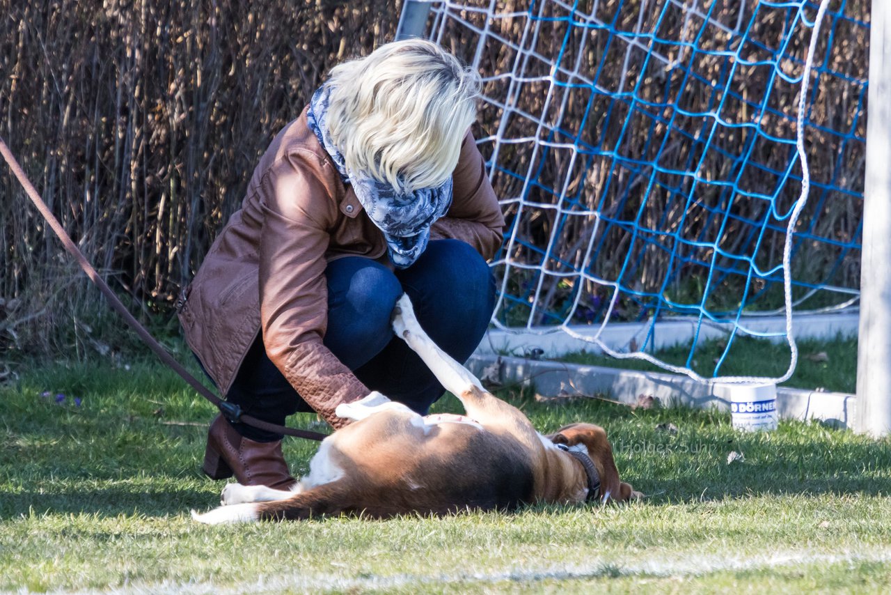 Bild 287 - Herren TSV Wiemersdorf - TuS Hartenholm III : Ergebnis: 2:1